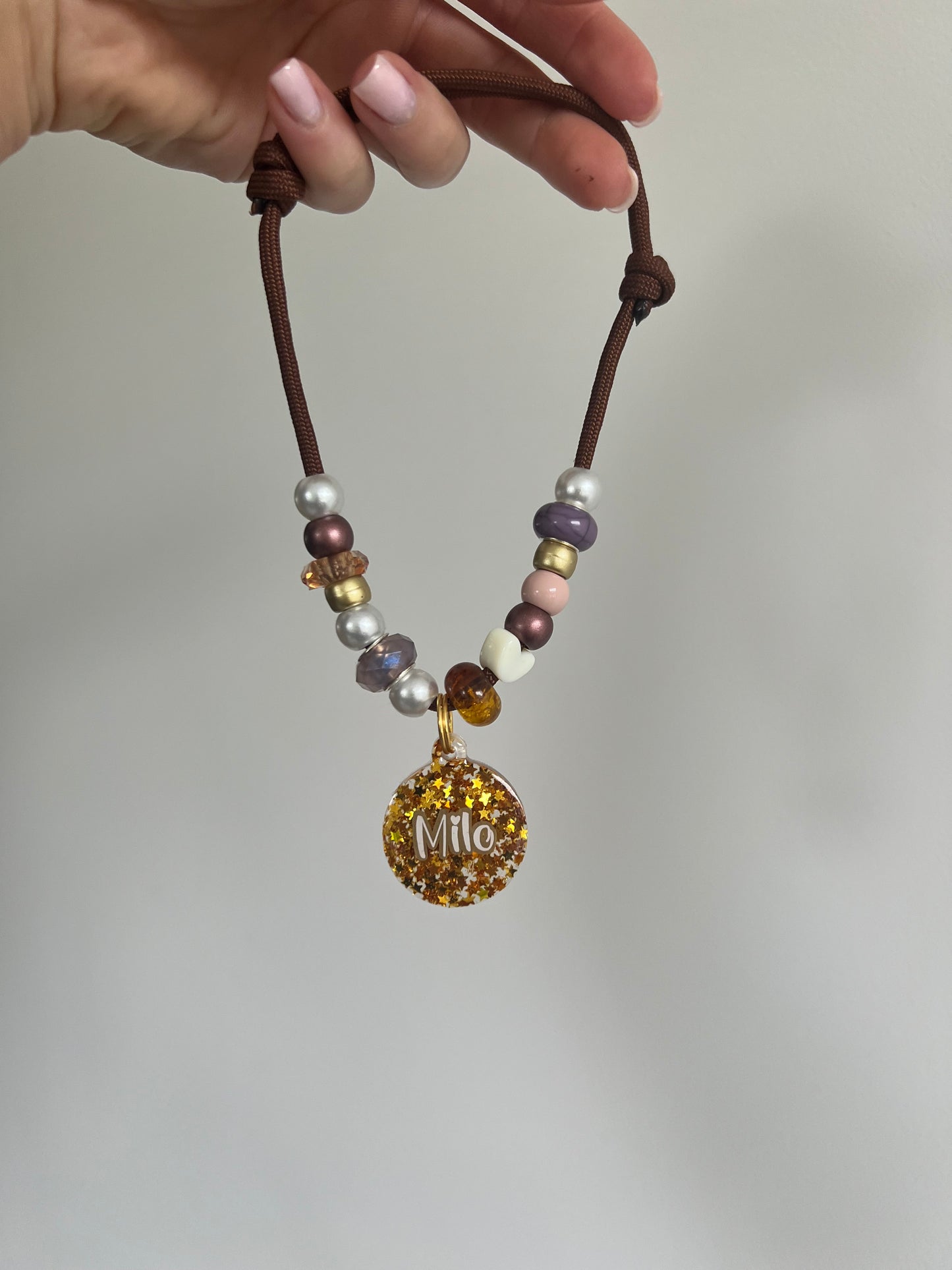 Autumn Pet Collar