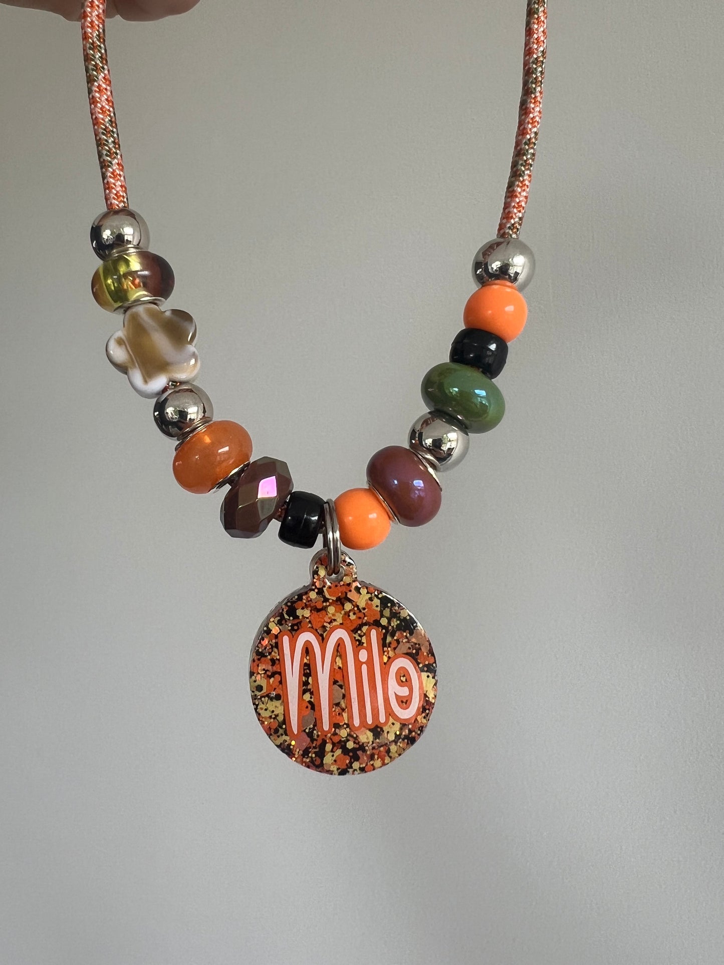 Autumn Pet Collar