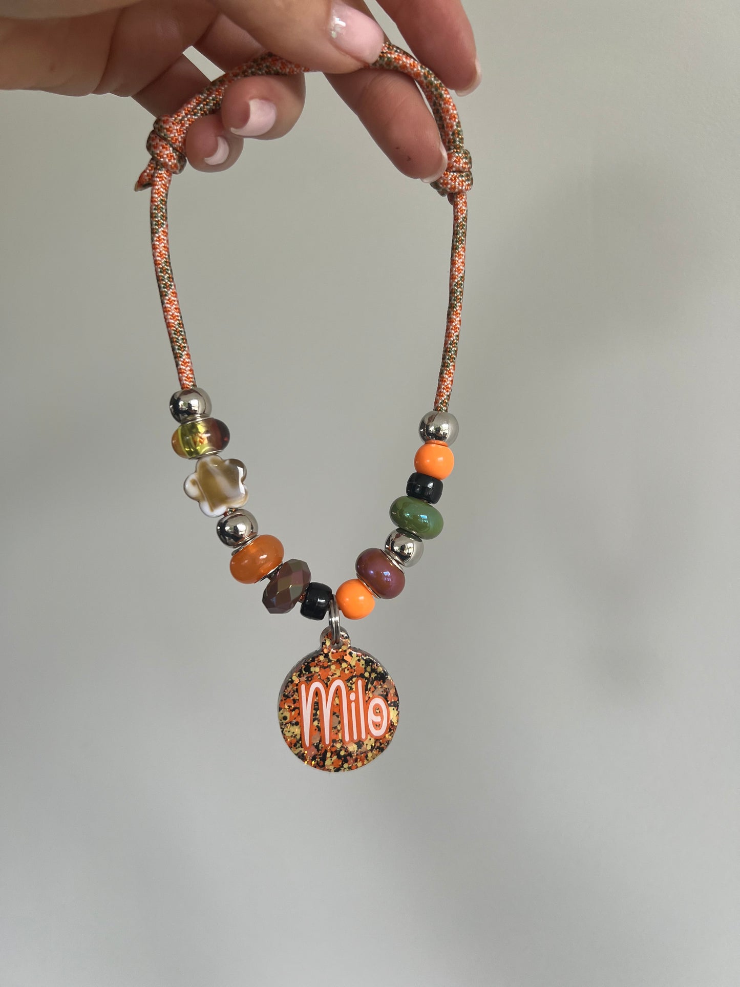 Autumn Pet Collar