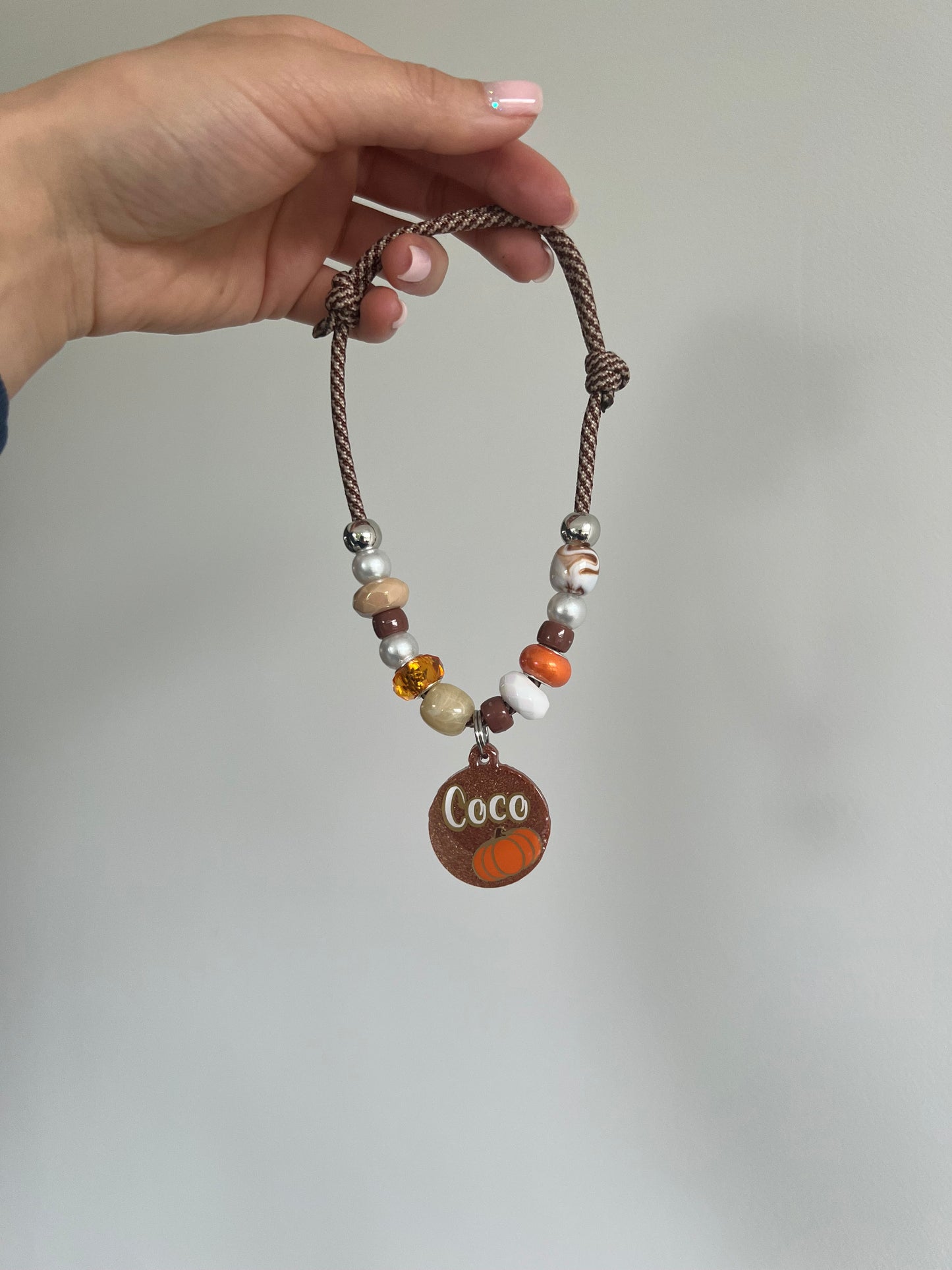 Autumn Pet Collar