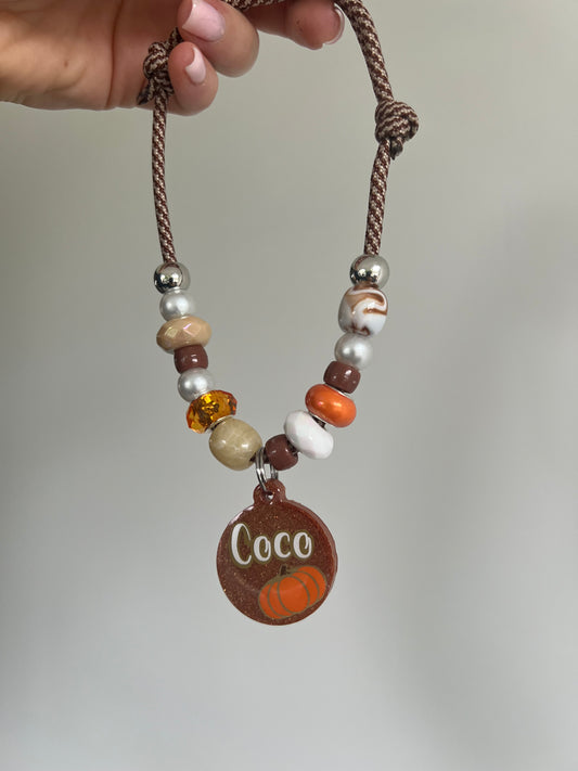 Autumn Pet Collar