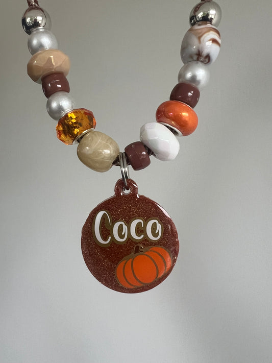 Autumn Pet Collar