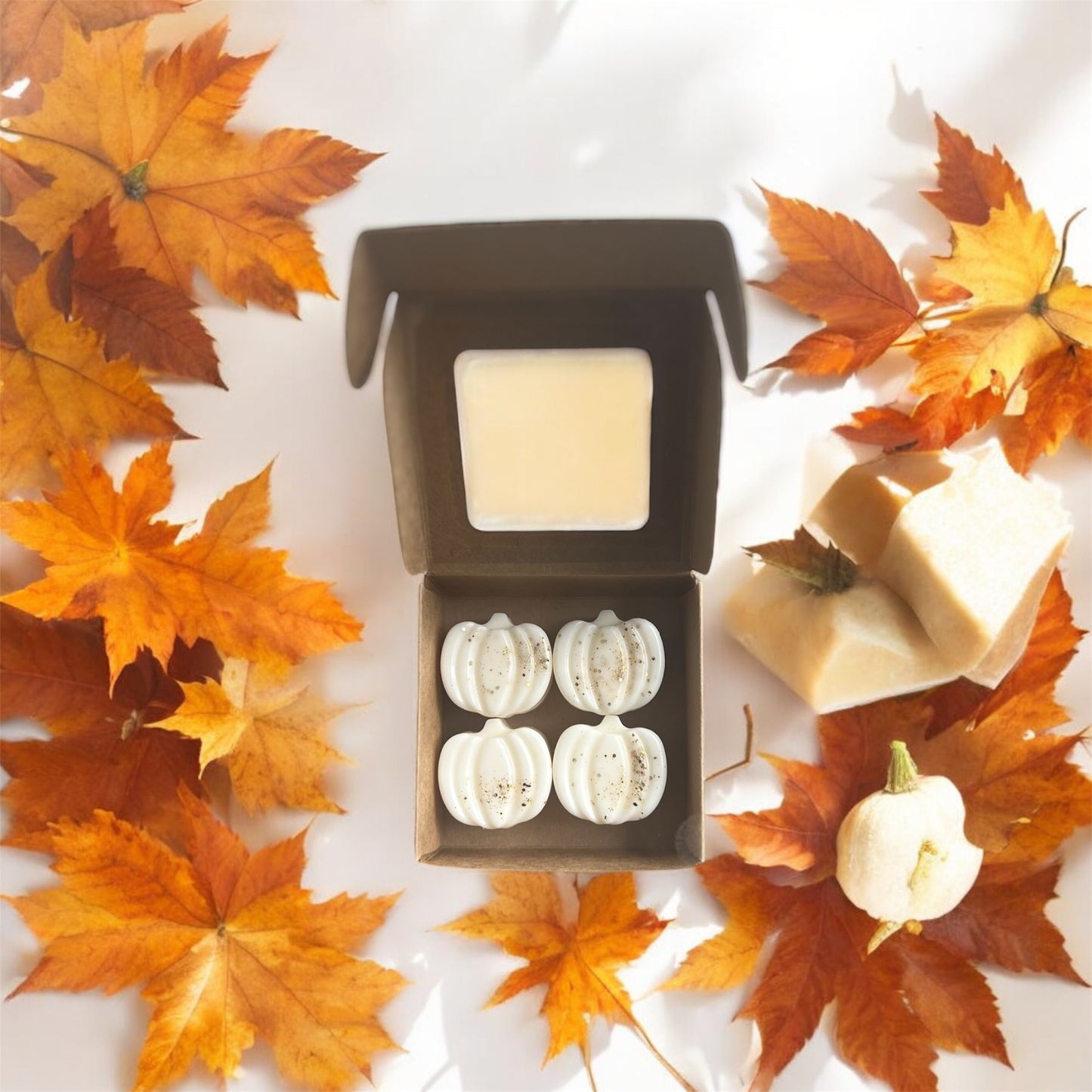 Pumpkin Wax Melts-Set of 4