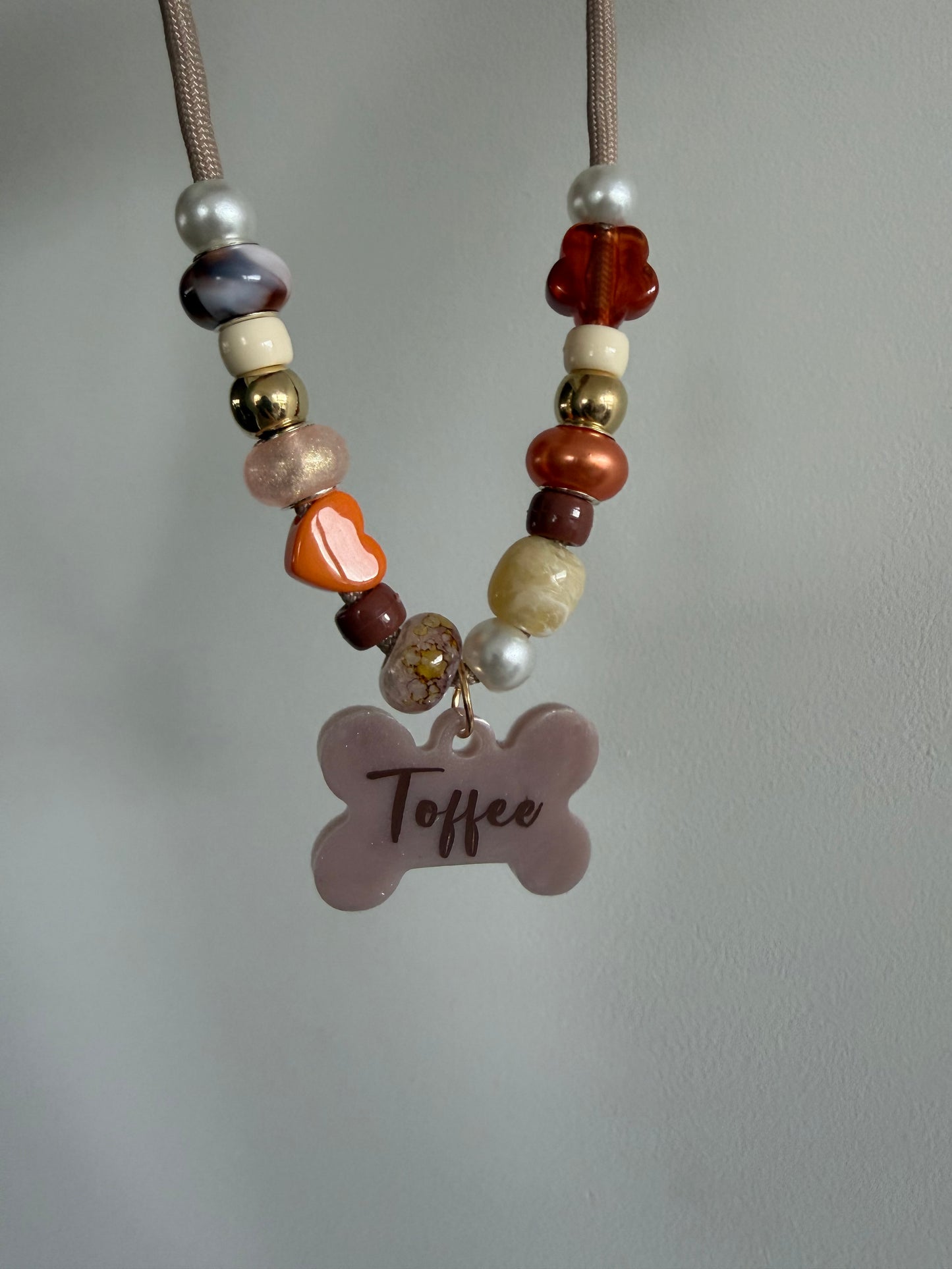 Autumn Pet Collar